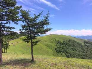 青山绿树间的开阔美景