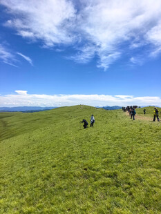广袤草原与蓝天白云美景
