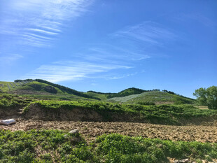 田园风光中的开阔农田