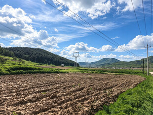 田野