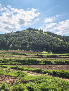 田园山野风光美景