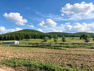 田园风光美景