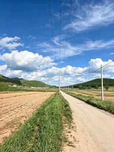 乡间小路田园风光美景