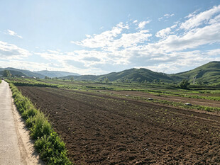 田野风光宁静的乡村景致