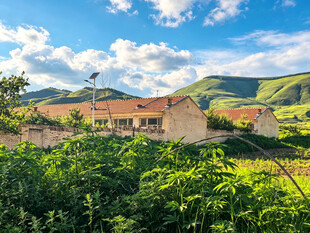 乡村美景绿植环绕的房屋