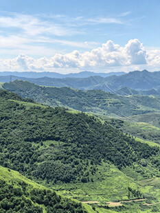 蔚县草原