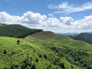 蔚县草原