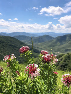 蔚县草原