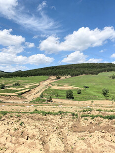 田野