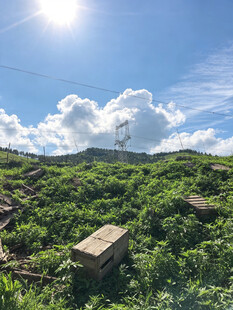 蔚县草原