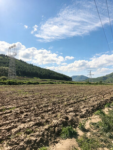 广袤田野