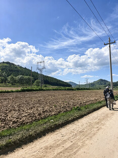 广袤田野