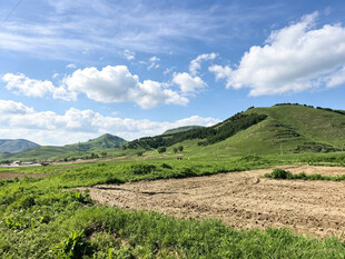 田园绿野风光