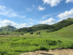 青山绿野间的美丽风光