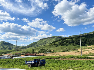 田园风光中的开阔田野