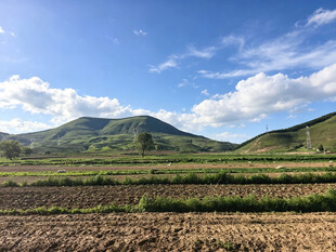 田园风光中的开阔田野