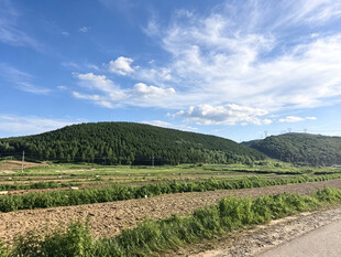 乡村田野风光美景