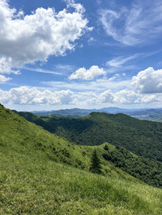 青山绿野间的壮阔自然景观