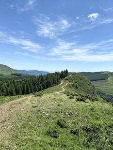 青山绿野山间美景