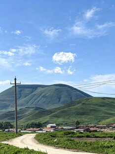 山间公路旁的绿色景致