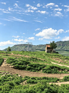 山间小屋绿野蓝天之景