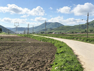 乡村田野间的蜿蜒小路