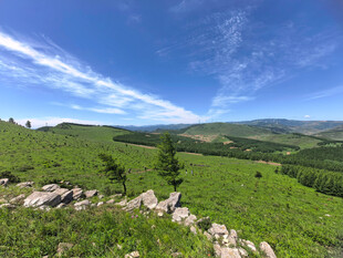 广袤绿野蓝天之下的美景