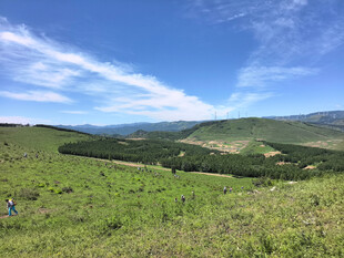 山间绿野蓝天美景