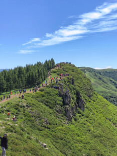 翠绿山坡与蓝天白云美景