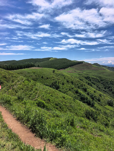 山间小径绿意盎然的美景