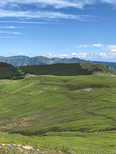 广袤绿野远山蓝天美景