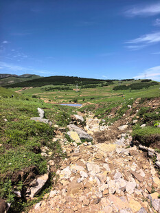 山间溪流绿野风光
