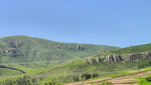 青山绿野风景图