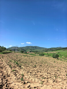 田野风光展现自然之美