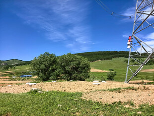 乡村田野