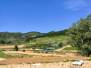 乡村田野风光景色