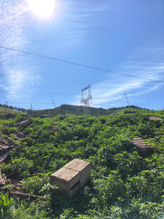山间风景
