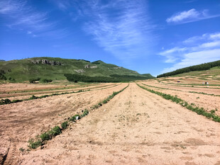 翠绿山峦风景如画