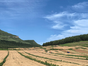 田园风光广袤田野与青山