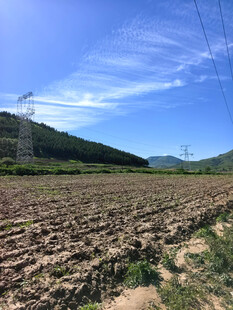田野风光与远处输电塔