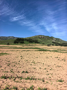 广袤田野与远处青山