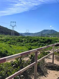 田野边的电力设施景观
