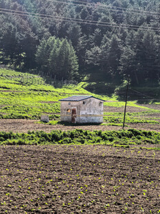 田野中的孤独小屋
