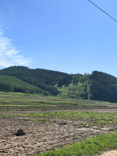 田园风光中的广袤农田