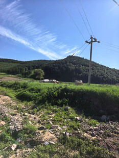 山间田野与电线杆风景