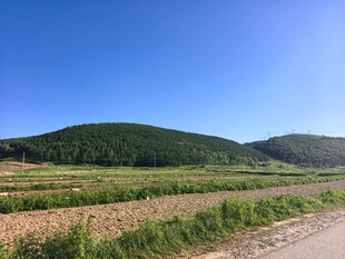 乡村田野间的公路与青山