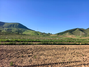 田野山丘间的开阔风光