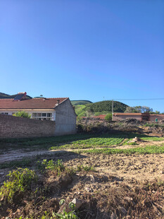乡村田野间的宁静景象