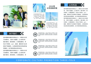 三折页公司简介图片