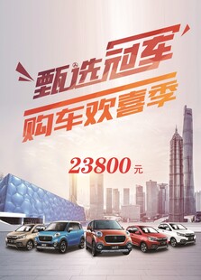 购车嘉年华